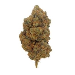 Blueberry Fleur CBD Hydro