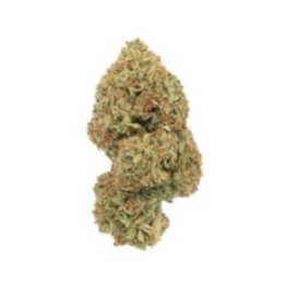 Orange Bud Hydro Suisse Fleur de CBD