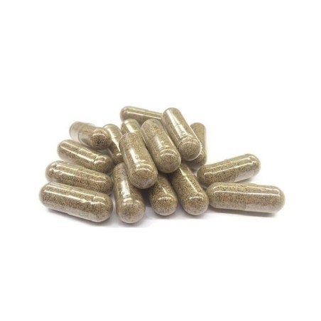 Gélules CBD Fungo Sommeil+ CB2, mélatonine et adaptogènes