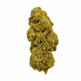 Orange Bud CBD hydro Suisse – Fleurs premium aux arômes d’orange