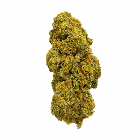 Orange Bud CBD hydro Suisse – Fleurs premium aux arômes d’orange