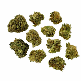 Sweet Berry CBD Small Bud Indoor – Fleurs fruitées cultivées en Italie