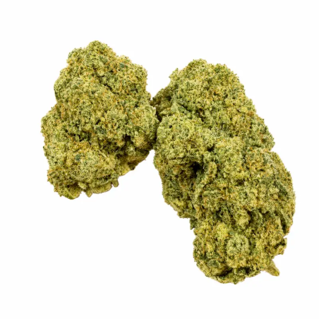 Gelato CBD – Buds compacts, trichomes givrés et notes ice cream