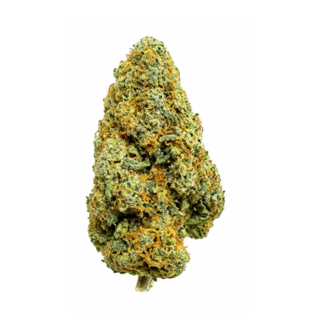Blueberry CBD hydroponique suisse – Fleurs gourmandes aux arômes de myrtilles et baies rouges