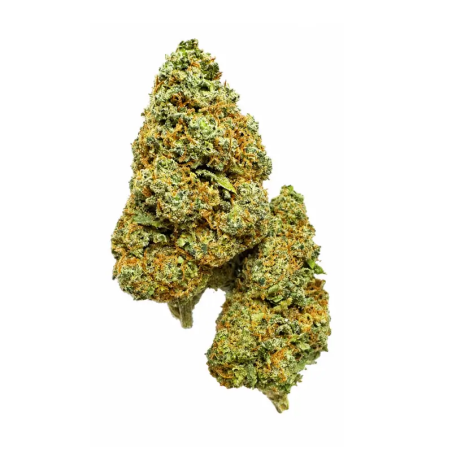 Blueberry CBD hydroponie suisse