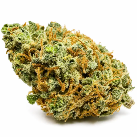 Blueberry CBD – Buds denses, trichomes givrés et nuances violettes
