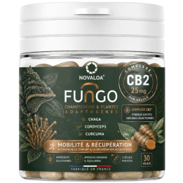 Gélules Fungo CB2 Confort Musculaire – Chaga Cordyceps Curcuma – Sans CBD