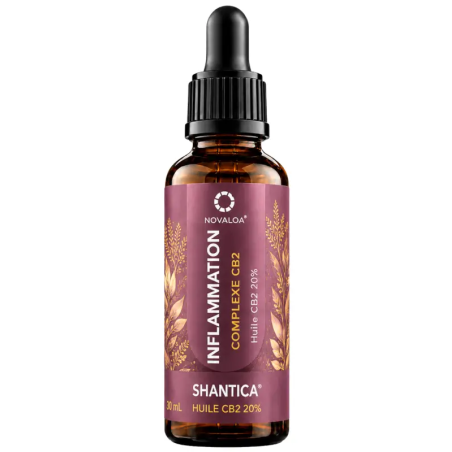 Huile Complexe CB2 Inflammation – Curcuma Gingembre – 20 % et 40 %