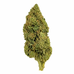 Wedding Cake CBD Hydroponique Suisse – HQ x CT – Fleur premium