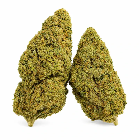 Fleur CBD Super Special Sauce – Indoor USA – Buds résineux