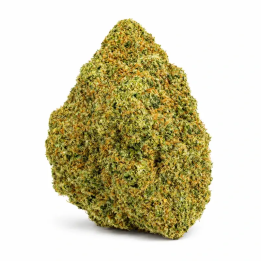 Rainbow x GP3 CBD Hydroponique Suisse – Cali – Fleur premium