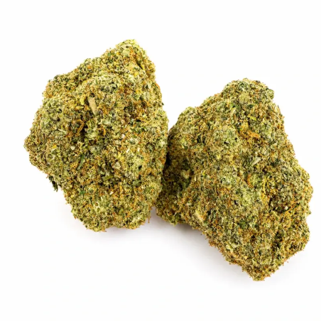 Fleur CBD Rainbow GP3 Hydro – Trichomes denses – Suisse