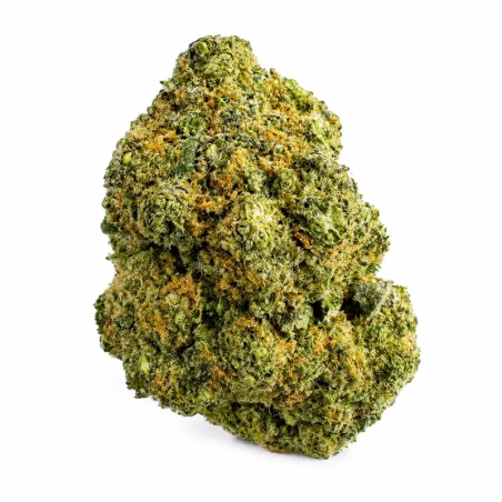 Maui CBD Hydro Suisse – Cali – Fleur premium