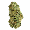 Payton Strawberry – CBD Indoor Elite USA (Exclusivité)