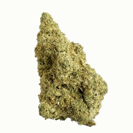 White Runtz CBD Indoor Suisse – Fleur premium fruitée et crémeuse
