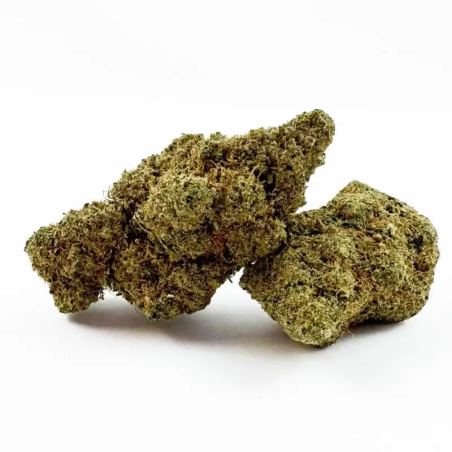 Fleur CBD White Runtz – Indoor Suisse – Buds compacts et givrés