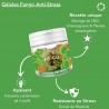 Gélules CBD anti-stress Fungo – Sérénité naturelle