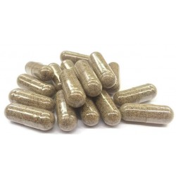 GELULES FUNGO SOMMEIL+