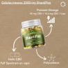 Gélules CBD Liquides Intense 2000 mg spectre complet shantipop