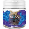 Gélules Fungo Sommeil+ CBD + CB2, mélatonine et adaptogènes – La Caverne du CBD