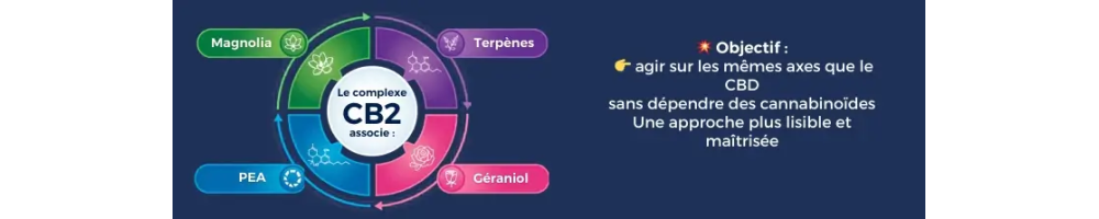 Complexe CB2 – Innovation Chanvre & Bien‑Être Moderne | La Caverne du CBD