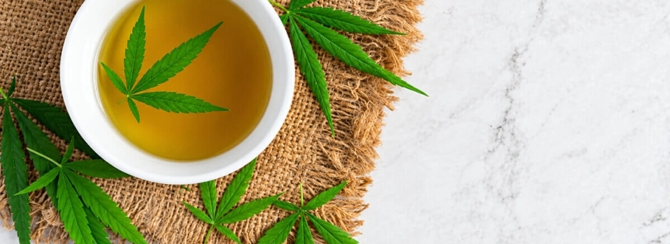 Infusion aux fleurs de CBD